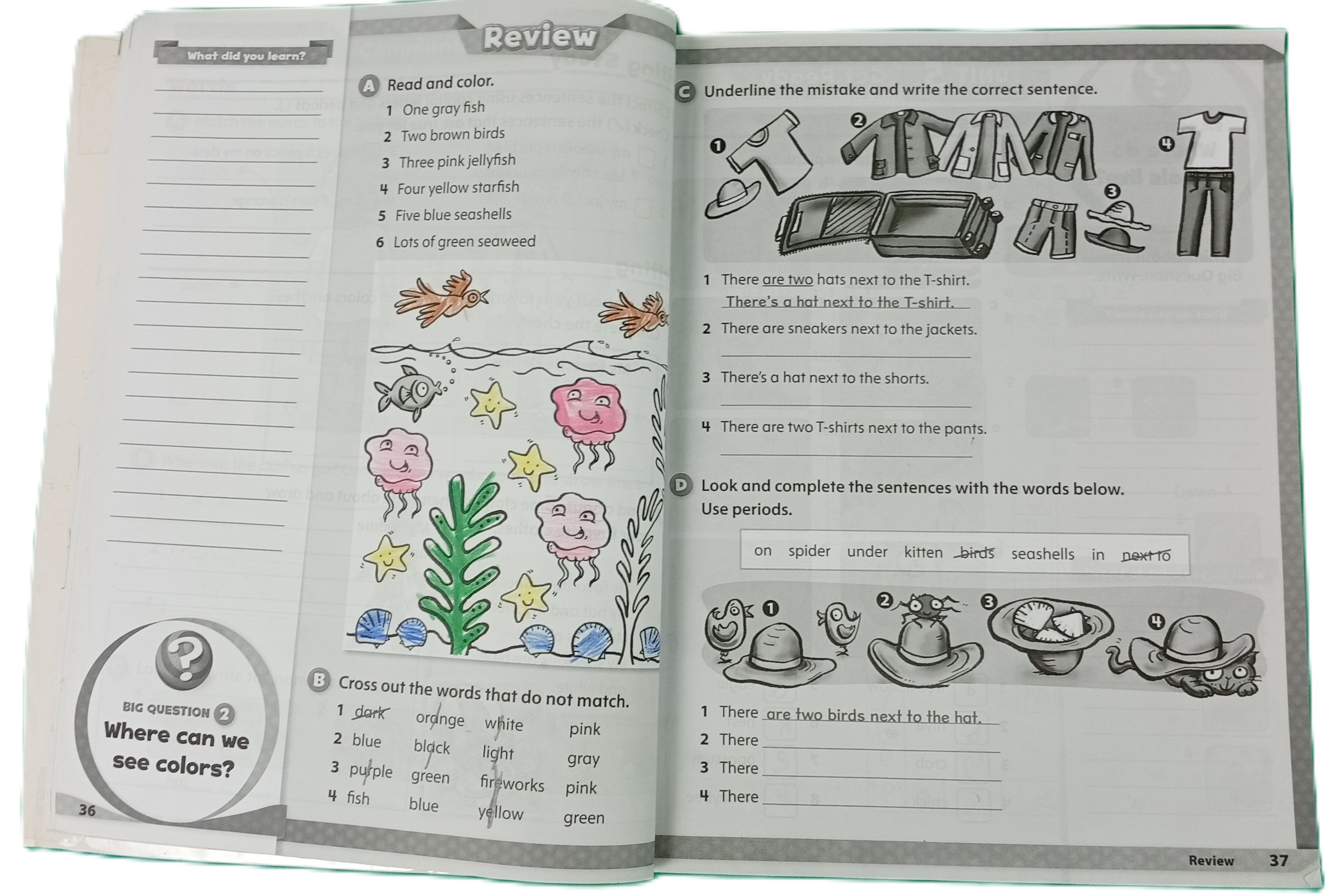 197506922.166_1 197506922.166_1