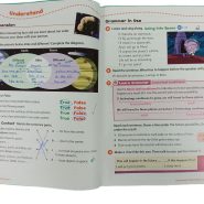 28241004.196_2